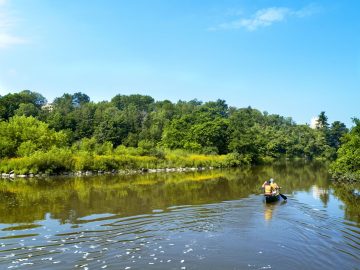 Cornellians head to Beebe Lake for some morning canoeing.